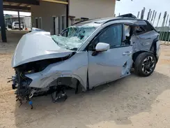 5XYK53AF8PG094972 2023 KIA SPORTAGE