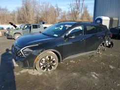 5XYK6CDF2RG156961 2024 KIA SPORTAGE
