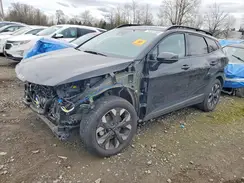 5XYK6CDF3RG164602 2024 KIA SPORTAGE