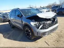 5XYK6CDFXRG193529 2024 KIA SPORTAGE