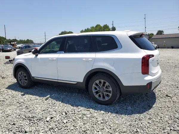 5XYP24GC0RG531318 2024 KIA TELLURIDE - Image 2