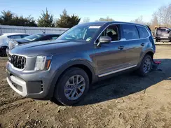 5XYP24GC0RG553481 2024 KIA TELLURIDE