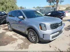 5XYP24GC0RG558244 2024 KIA TELLURIDE