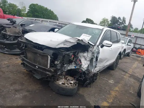5XYP24GC1RG411138 2024 KIA TELLURIDE - Image 2