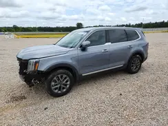 5XYP24GC1RG469556 2024 KIA TELLURIDE