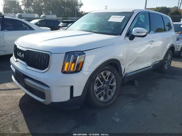 5XYP24GC1RG504533 2024 KIA TELLURIDE - Image 2
