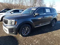 5XYP24GC1RG553134 2024 KIA TELLURIDE