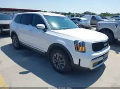 5XYP24GC2RG558598 2024 KIA TELLURIDE
