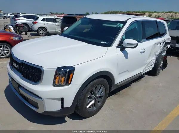 5XYP24GC2RG558598 2024 KIA TELLURIDE - Image 2