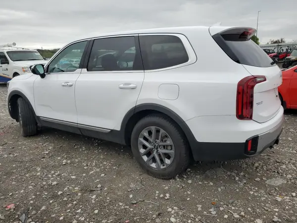 5XYP24GC3RG409181 2024 KIA TELLURIDE - Image 2