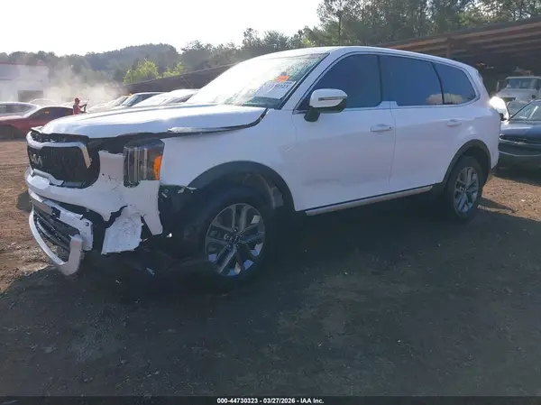 5XYP24GC3RG467226 2024 KIA TELLURIDE - Image 2