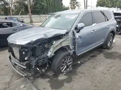 5XYP24GC3RG521611 2024 KIA TELLURIDE