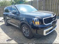 5XYP24GC3RG534259 2024 KIA TELLURIDE
