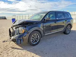 5XYP24GC4RG453626 2024 KIA TELLURIDE