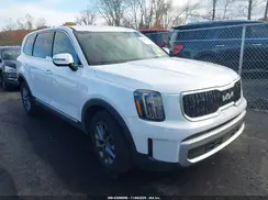 5XYP24GC4RG455330 2024 KIA TELLURIDE