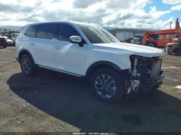 5XYP24GC6RG442787 2024 KIA TELLURIDE - Image 1