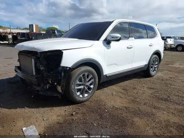 5XYP24GC6RG442787 2024 KIA TELLURIDE - Image 2