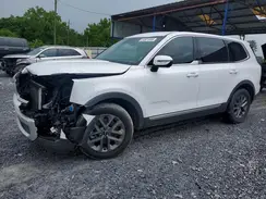 5XYP24GC7RG434052 2024 KIA TELLURIDE