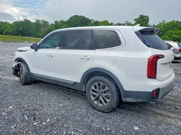 5XYP24GC7RG434052 2024 KIA TELLURIDE - Image 2