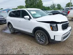 5XYP24GC7RG560461 2024 KIA TELLURIDE