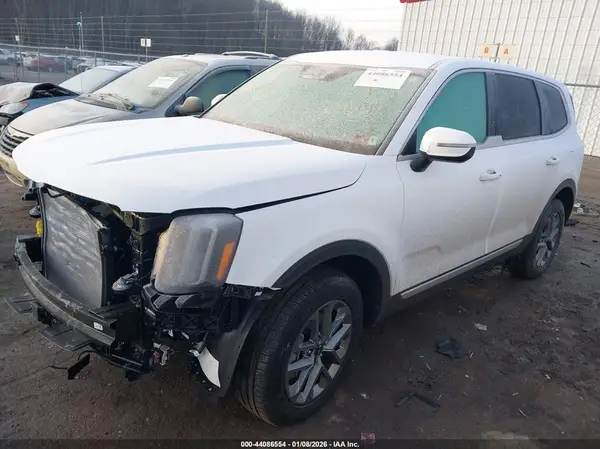 5XYP24GC8RG462815 2024 KIA TELLURIDE - Image 2