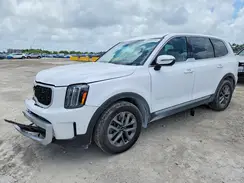 5XYP24GC8RG509566 2024 KIA TELLURIDE