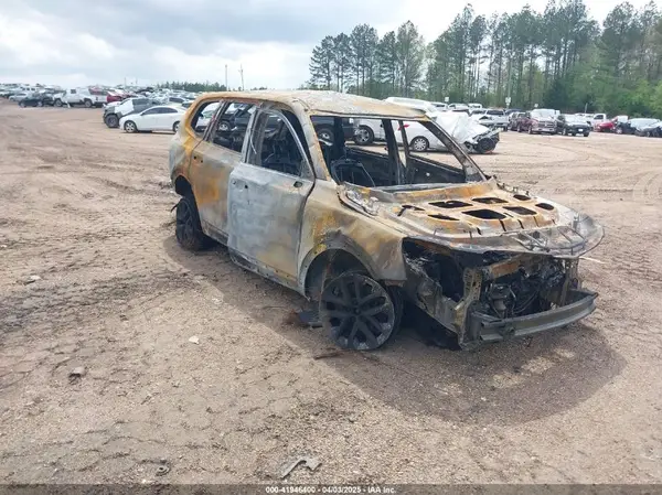 5XYP24GC9RG459292 2024 KIA TELLURIDE - Image 1