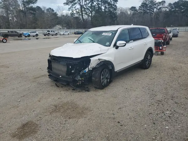 5XYP24GCXRG425507 2024 KIA TELLURIDE - Image 1