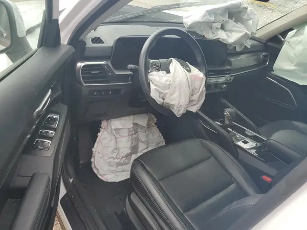 5XYP24GCXRG425507 2024 KIA TELLURIDE - Image 8