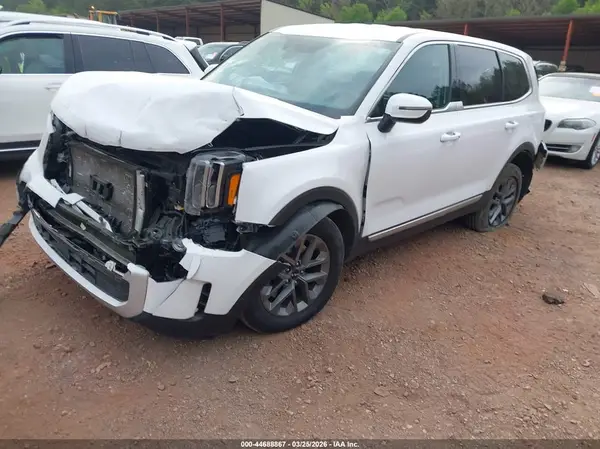 5XYP24GCXRG540611 2024 KIA TELLURIDE - Image 2