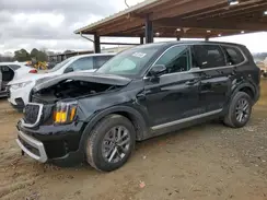 5XYP24GCXRG563435 2024 KIA TELLURIDE