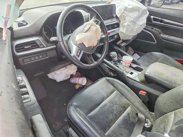 5XYP24HC0LG078405 2020 KIA TELLURIDE - Image 8