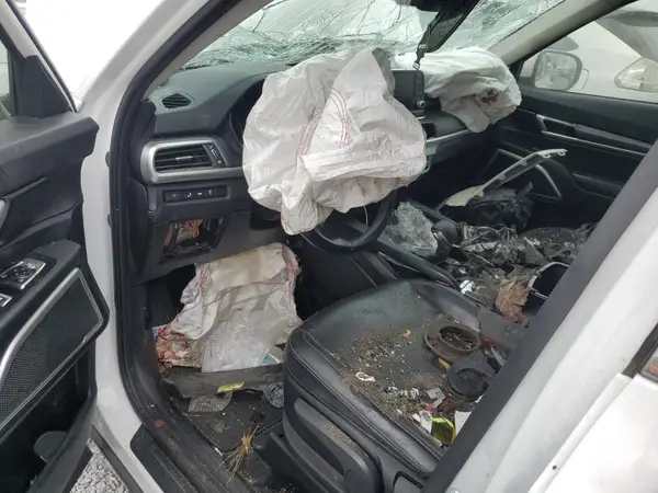 5XYP24HC4LG074230 2020 KIA TELLURIDE - Image 8