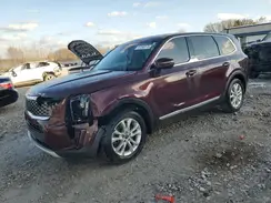 5XYP24HC7LG012627 2020 KIA TELLURIDE