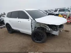 5XYP24HC8LG087806 2020 KIA TELLURIDE