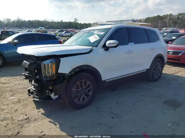5XYP2DGC1PG364786 2023 KIA TELLURIDE - Image 2