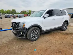 5XYP2DGC1RG494022 2024 KIA TELLURIDE