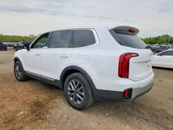 5XYP2DGC1RG494022 2024 KIA TELLURIDE - Image 2