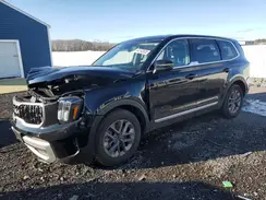 5XYP2DGC2PG366207 2023 KIA TELLURIDE