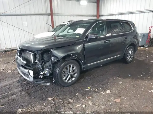 5XYP2DGC7PG355235 2023 KIA TELLURIDE - Image 2