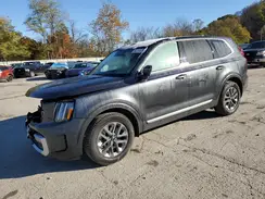 5XYP2DGC7RG484157 2024 KIA TELLURIDE