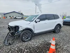 5XYP2DGC7RG490234 2024 KIA TELLURIDE