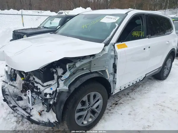 5XYP2DGC8RG510832 2024 KIA TELLURIDE - Image 2