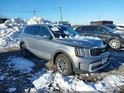 5XYP2DGC8RG567001 2024 KIA TELLURIDE