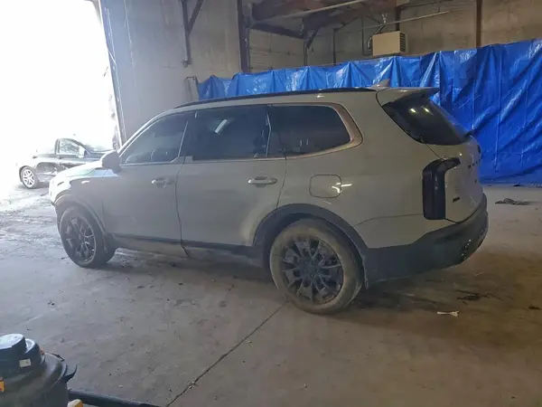 5XYP2DHC1LG016155 2020 KIA TELLURIDE - Image 2