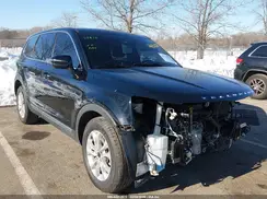 5XYP2DHC6LG067232 2020 KIA TELLURIDE