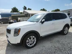5XYP2DHC8LG055499 2020 KIA TELLURIDE