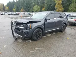 5XYP2DHC9MG122645 2021 KIA TELLURIDE