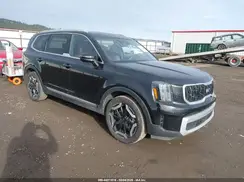 5XYP34GC0RG444161 2024 KIA TELLURIDE