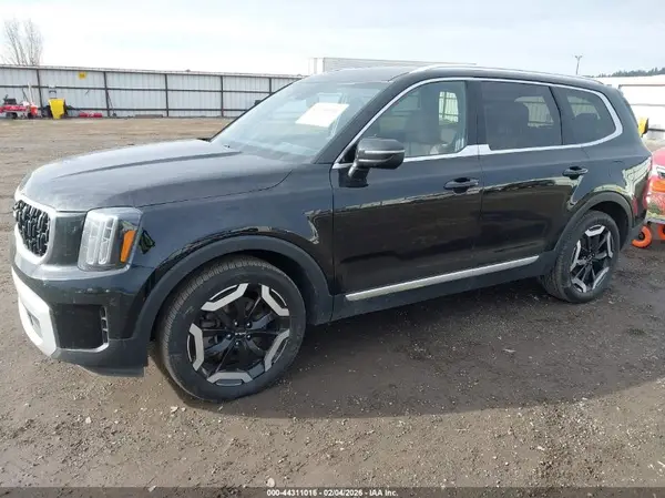 5XYP34GC0RG444161 2024 KIA TELLURIDE - Image 2